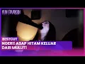 Download Lagu Ngeri! Asap Hitam Keluar Dari Mulut! | BestCut Kun Fayakun ANTV Eps 1 (2/2)