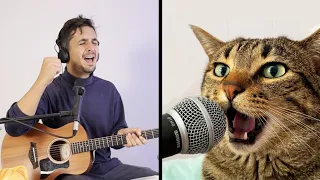 The Kiffness - Serafino (Singing Cat Song)