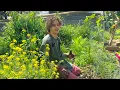 Download Lagu ASMR Gardening | Ep #2 | Weeding + Rambling