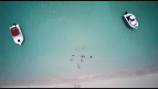 How to CATCH and clean Crayfish Episode 54 (Sailing Catalpa)