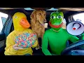Rubber Ducky Surprises Frog \u0026 Puppy with Car Ride Chase