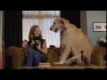 Auto Trader TV advert 2016 - Dealer Reviews