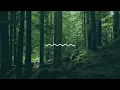 Reece Marshburn - Sun Salutation