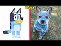 Bluey Characters in Real Life 2023