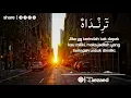 Download Lagu STORY WA SHALAWAT YA HABIBAL QOLBI | TERBARU 2020