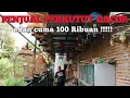 Download Lagu EDAN!!! PERKUTUT GACOR CUMA 100 RIBUAN