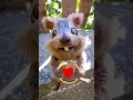 Download Lagu Thank you friends ❤️🐿 #petz #squirrel #egofilm