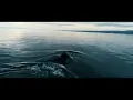 Procession / Love in the Void - Hammock