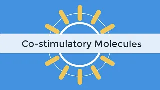 Check Point Inhibitors & Co-stimulatory Molecules Immunology Tutorial, Abatacept, Belatacept
