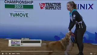 NAC 2023 20 Winner Perry DeWitt and Wit Spectator View vs AKC tv View