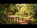 Download Lagu 🌞Sunny 🍎 Apple Orchard Morning Ambience 🍎🍂 | Birds Singing \u0026 Gentle Sunshine