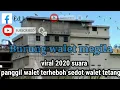 viral 2020 suara panggil burung walet terheboh menyedot walet tetangga