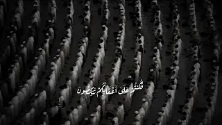 الشيخ ماهر المعيقلي   سورة المؤمنون الايه رقم    دندنها