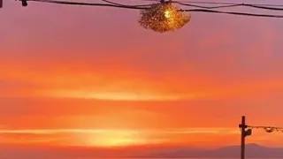 شاب بلال نديك باري 