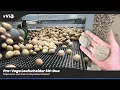 Download Lagu Pro-Vega Loofscheider | Aardappelen | van Velzen innovation B.V. | vVi