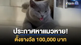 ประกาศหาแมวหาย! ตั้งรางวัล 100,000 บาท