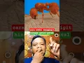 Download Lagu Cara semut mengigit hingga menjadi gatal gatal #facts #ants #shortvideo #feedshorts