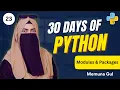 Python Modules and Packages Explained