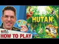 Download Lagu Hutan: Life In The Rainforest - How To Play