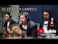 EL CORONA GAMBUS 6 HIT