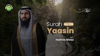 Surah Yasin سورة يس | Bacaan Merdu & Menenangkan Hati | Hamza Maaz