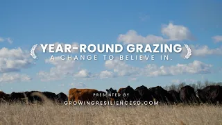 Year Round Grazing A Change to Believe In