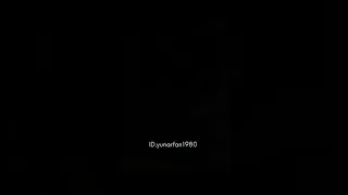 simalakama by tini flowers 