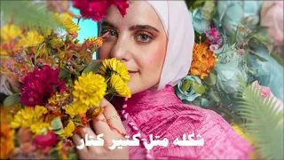 Ghaliaa Shayef Halo Lyric Video 