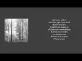 Taylor Swift - Willow (1 Hour Loop)