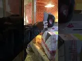 Ramos Game Farm de Alex Ramos - unboxing the Leiper Hatch from Hatch Village