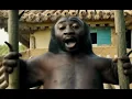 Kungfu Panda Indian Version