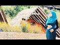 Download Lagu Ayodya Sekar Melati \