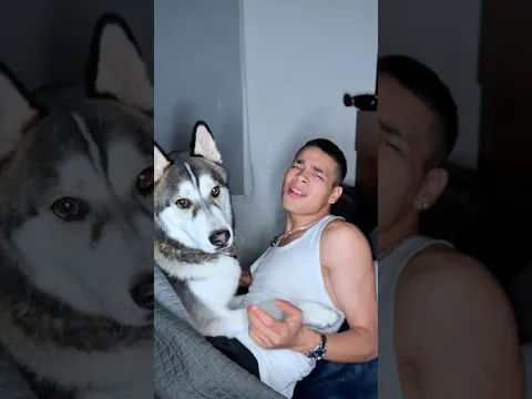 PIJAMADA CON EL PERRO DE MI AMIGO