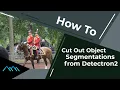 How to Cut Out Object Segmentations from Detectron2