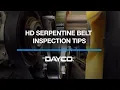 Dayco - Serpentine Belt Inspection Tips