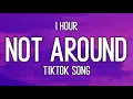 Download Lagu Nova - Not Around (1 Hour) [TikTok Song]