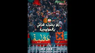 إلترا حب وعقلية راو يضرب شرقي يا المولودية 