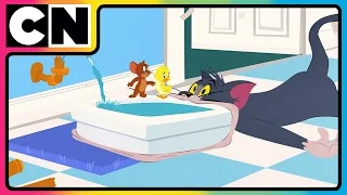 Tom And Jerry T J S Kitchen Chaos Cat And The Mouse Cartoon For Kids Cnindia  Tom And Jerry T J S Kitchen Chaos Cat And The Mouse Cartoon For Kids Cnindia
