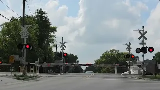                                          دندنها