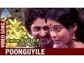 Lagu Chinna Chinna Veedu Katti Tamil Movie | Poonguyile Video Song | Sudhakar | Jayam | Shankar Ganesh