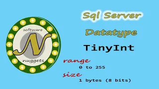 SQL Server L8 How to use the TINYINT data type