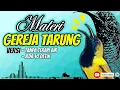 Download Lagu MASTERAN SOGON GEREJA TARUNG VERSI NON TERAPI AIR DAN JEDA 10 DETIK! #sogon #sogongacor #sogokontong