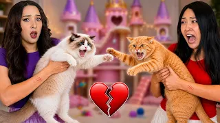 Our Cats Are Fighting Over Their New Dream House! (BROKEN UP!)