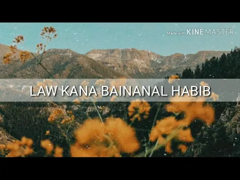 Download MP3 LAW KANA BAINANAL HABIB (lirik + terjemahan)