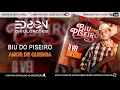 Biu do Piseiro 2020 - Amor de Quenga Repertorio Novo