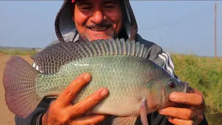 صيد سمك البلطى بتاع زمان احجام لم تراها من قبل 