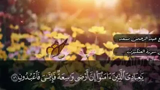 قرآن بصوت جميل سورة العنكبوت للشيخ عبدالرحمن مسعد ي عبادي الذين آمنوا إن أرضي واسعة فإيى فاعبدون 