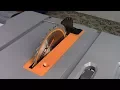 How To Align Your RIDGID Portable Table Saw