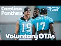 Download Lagu Voluntary OTAs Begin | Panthers Sign OLB Cam Gill and DE TJ Smith.| #carolinapanthers #2growls1roar