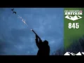 Lagu Fieldsports Britain – Duck flighting with a world champion